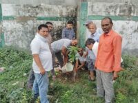 होबर्ट प्राइमरी स्कूल में तमसा परिवार ने किया वृक्षारोपण, पर्यावरण संरक्षण का दिया संदेश