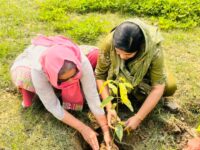 विश्व पर्यावरण दिवस पर डॉ. विपिन यादव व पूजा सिंह ने किया वृक्षारोपण