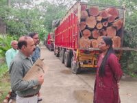 पूर्वांचल एक्सप्रेसवे पर वन विभाग की बड़ी कार्रवाई, 5 ट्रकों पर लदी अवैध लकड़ी बरामद